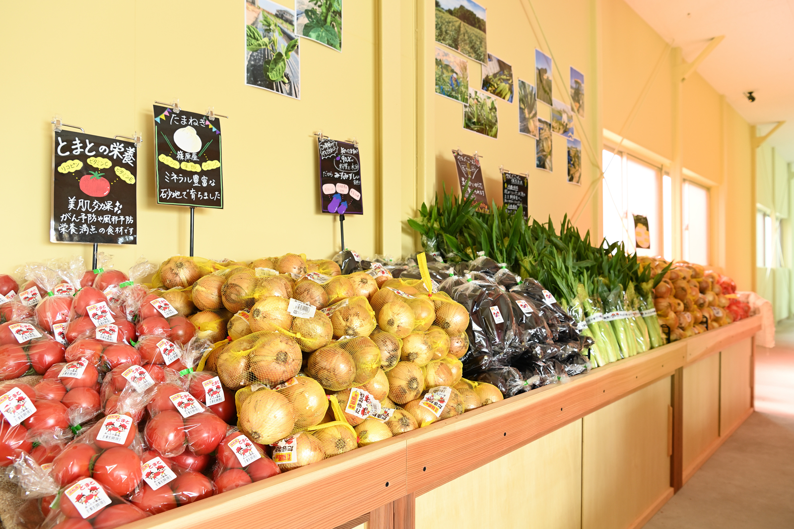農産物の直売や農業体験の拠点となるおにおんはうす店内の様子