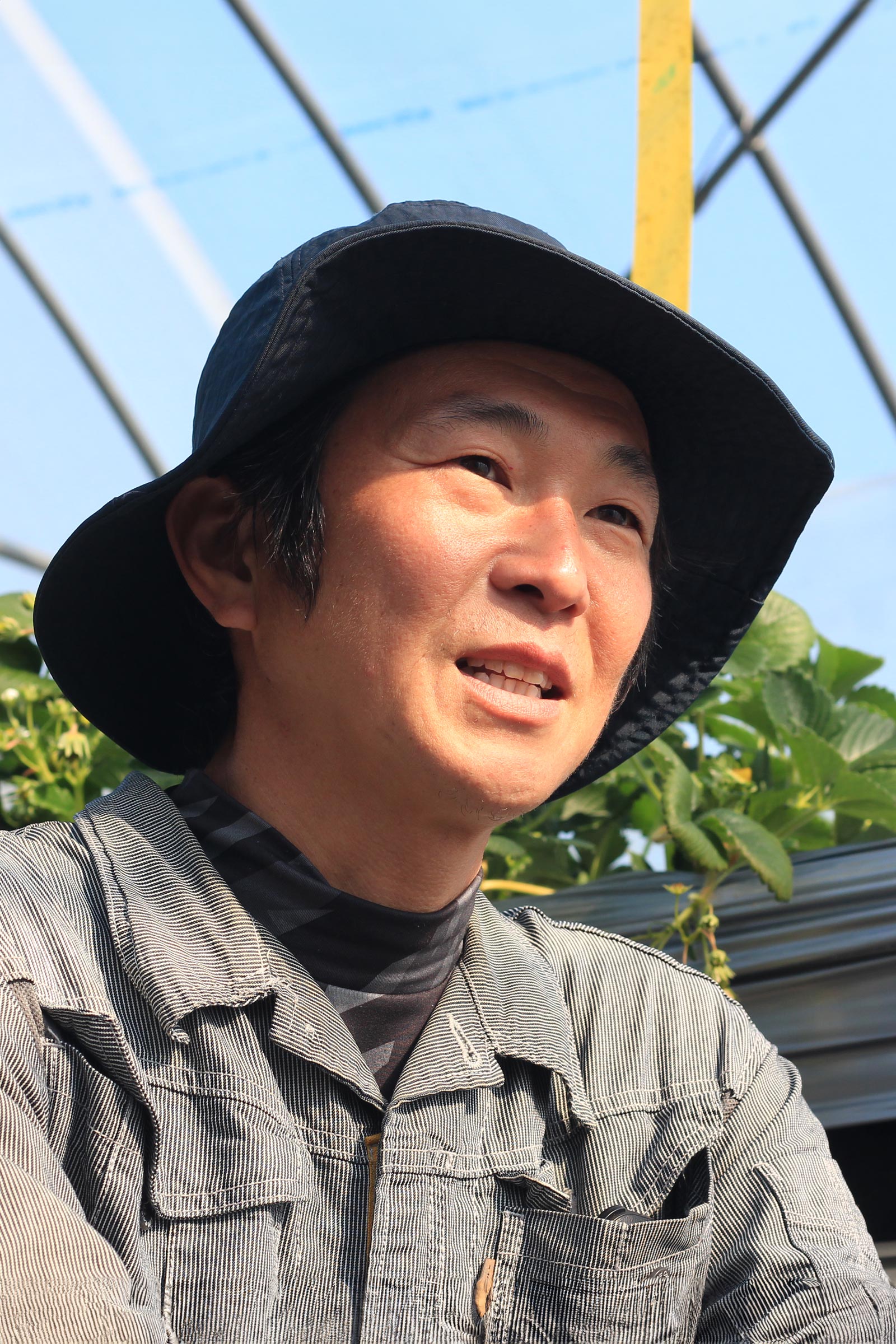 イチゴの出来栄えを確認する広瀬様